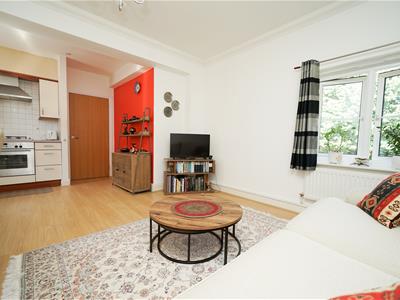 Picture 5